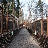 Zoo koutek Chuchle | Zdroj: Lesy hl. m. Prahy